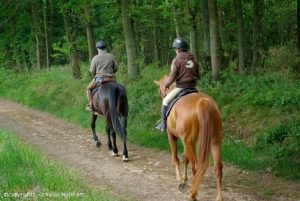 Photo 004