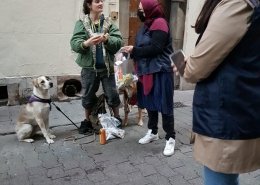 jeune femme à la rue avec ses chiens