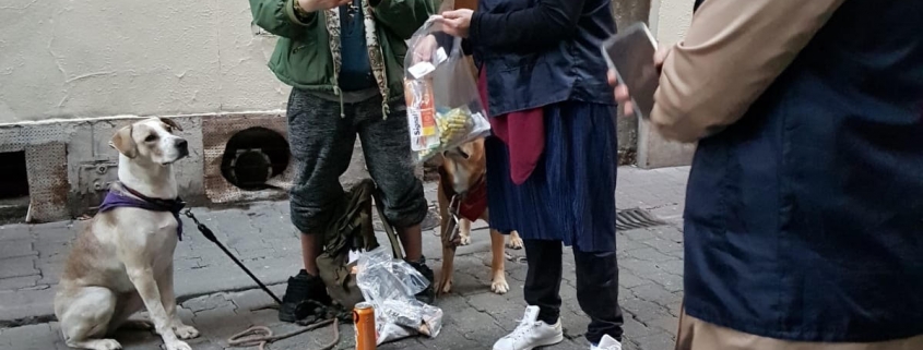 jeune femme à la rue avec ses chiens